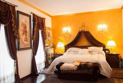 REV2000904 Vila spectaculoasa - zona Cernica REV2000904 Vila spectaculoasa - zona Cernica - 16