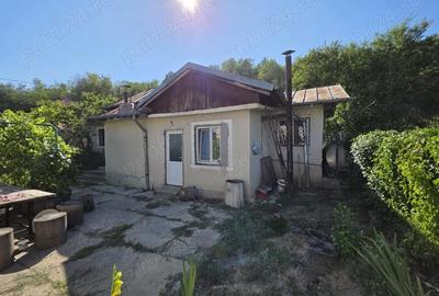 Casă cu 3 camere cu Teren 860 Mp în Valea - 8