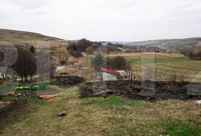 Teren în Borhanci - 11