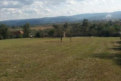 Teren intravilan de 4800 mp, în Gurasada