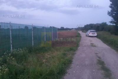 Teren aproape de Bucuresti langa padure între case - 13