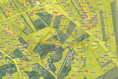 Teren de 7009 mp, în Ciurbești