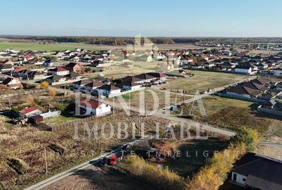 Teren intravilan imprejmuit, vegetatie matura 1200mp Sag Manastire - 7