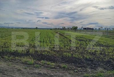 Teren intravilan cu 2 drumurie de acces. - 4