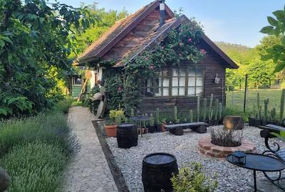 Casă cu 4 camere cu Teren 7500 Mp în Bazna - 9