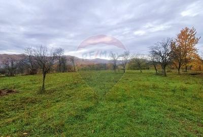 Teren intravilan  7370 mp in comuna Mera - 5