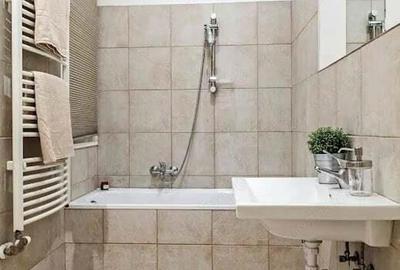 Inchiriere garsoniera Pantelimon - 3