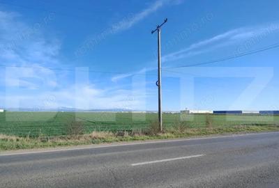 Teren de 59000 mp, în Ariceștii Rahtivani - 2