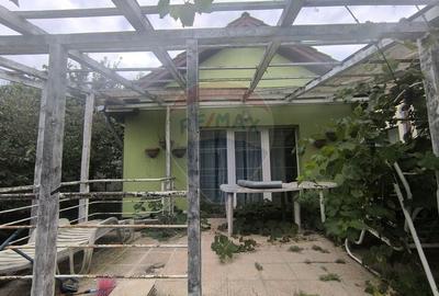 Casa / Vila in zona Dambul Rotund - 3