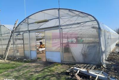 Spațiu comercial, în Roșiori - 7