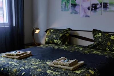 Apartament cu 2 camere de inchiriat zona Cragasi - 2