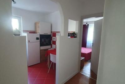 Apartament cu 2 camere decomandat în Ștrand - 8