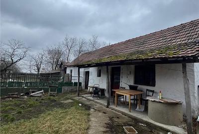Casă cu 3 camere cu Teren 1900 Mp în Borș - 14