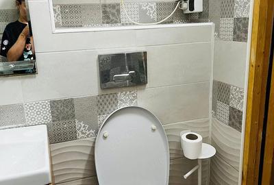 Apartament cu 2 camere decomandat în Lovrin - 5