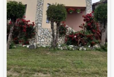 Casă cu 4 camere cu Teren 1000 Mp în Bran - 2