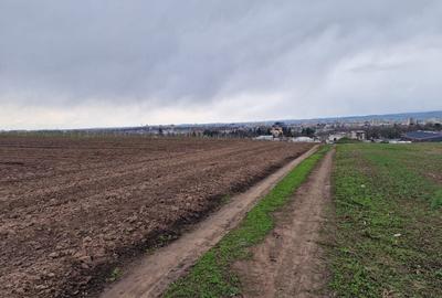 Teren 10,000mp Bacau / Strada Alexandru Safran - 3