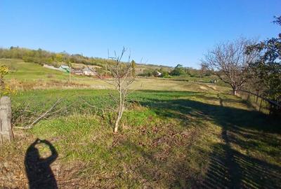 Casă cu 2 camere în Central - 3