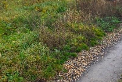 Teren de 600 MP cu utilități trase (curent, apa, canalizare) - 4