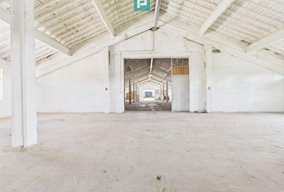 Hale 1800 mp fiecare – acces autostradă, Teiu, HD - 2