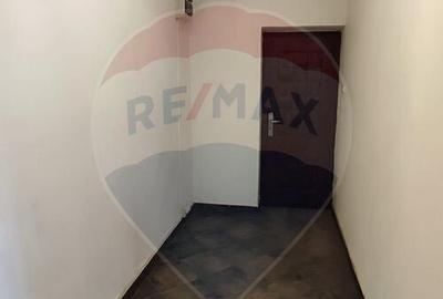 Spa?iu comercial Traiav Vuia - 150mp - 4