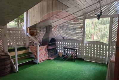 OCAZIE!!! CASA SUPERBA cu teren in JULITA jud Arad in M tii Zarandului - 38