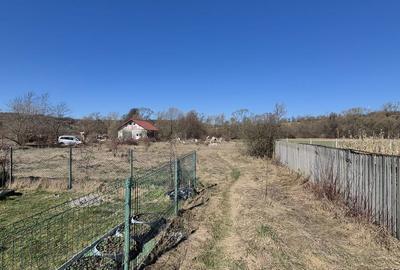 Teren de 2260 mp, în Dumbrăvița - 4