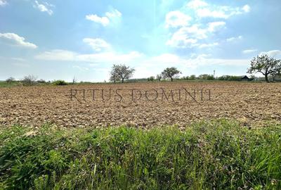 Teren Construcții intravilan de 5450 mp, în Cetariu - 5