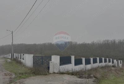 Teren intravilan de vanzare cu deschidere la lac, Branesti - 2