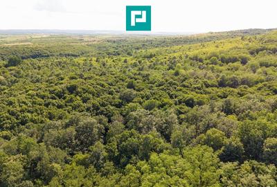 Teren agricol extravilan de 22900 mp, în Exterior Sud - 17