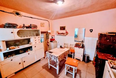 Casă mare, Parter + Etaj, la Vasiova, pe strada Principală (Tudor Vladimirescu) - 6