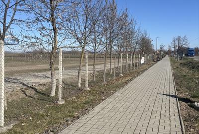 Spațiu comercial, în Gornești