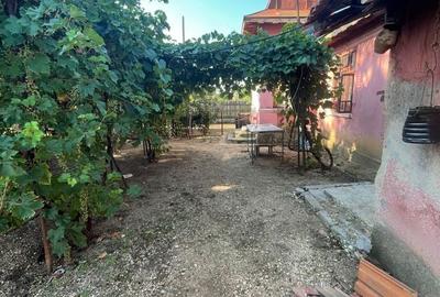 Casă cu 3 camere în Radovan - 7