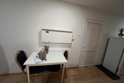 Apartament cu o camera Mehala - 9