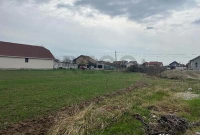 Teren de 14130 mp, în Sânmartin - 3