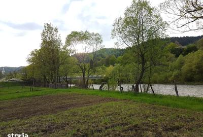 Teren de 1400 mp, în Lunca - 15