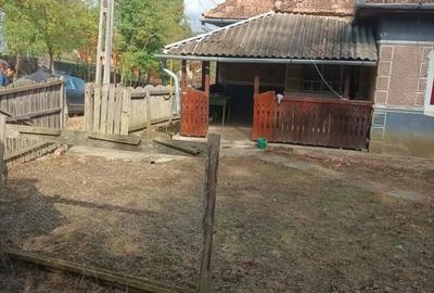 Casă cu 3 camere în Pogăceaua - 8