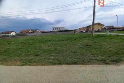 Teren de 698 mp, în Ghiroda