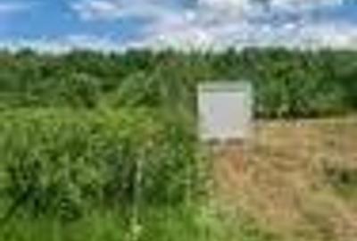 Teren de 2500 mp, în Porumbacu de Sus - 1