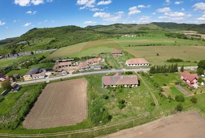 Teren Construcții intravilan de 3436 mp, în Hoghilag - 5