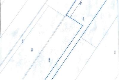 Casă cu 4 camere cu Teren 1120 Mp în Cornetu - 2