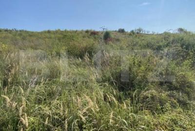 Teren de 3800 mp, în Crișeni - 6