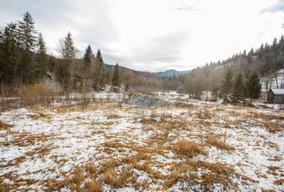 Teren intravilan de 49000 mp, în Borca - 11