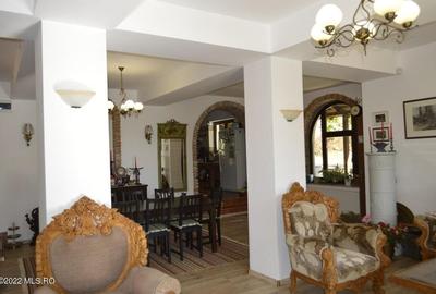 Topoloveni - Conacul Ion Mihalache, Domeniu pe 5 Hectare - 19