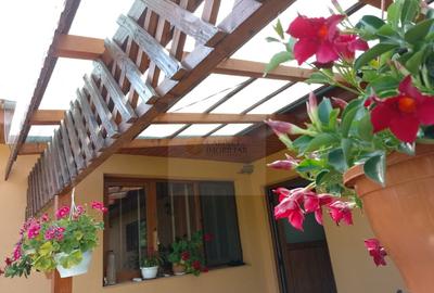 Casă individuală cu 3 camere cu Canalizare în Hănțești - 23