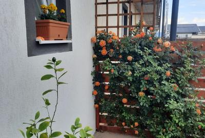 Casă rezidențială din cărămidă - complet mobilata si utilata - 8