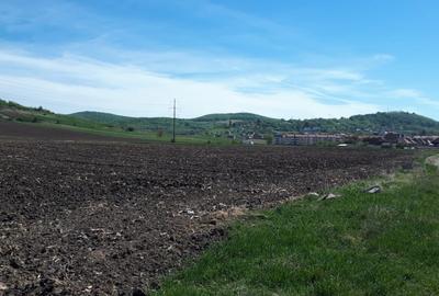 Teren de vanzare | 23.300mp | Gusterita - Oportunitate de investitie - 4