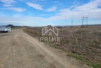 Teren de 8300 mp, în Oarda - 4