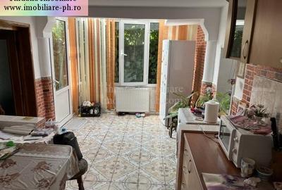 Tihuana Imobiliare:casa de vanzare-Buna Vestire - 10