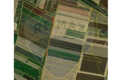 Teren în Sântion - 1