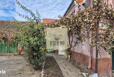 Casă cu 4 camere cu Teren 1900 Mp în Hamba - 2